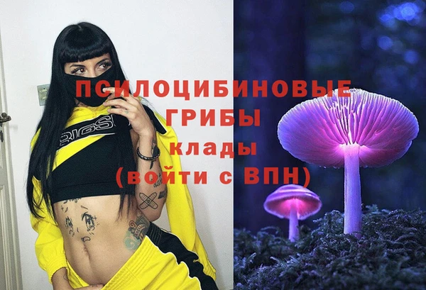 эйфоретик Елабуга