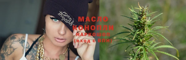 прущие грибы Сосновка