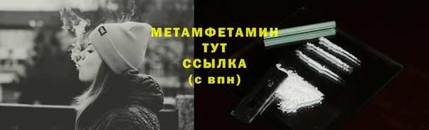 прущие грибы Сосновка