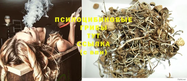 эйфоретик Елабуга