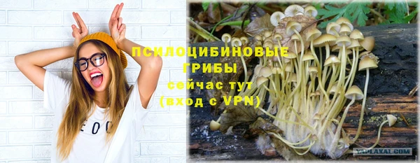 a pvp Ельня
