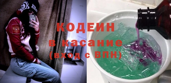 прущие грибы Сосновка