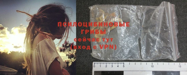 индика Сосновый Бор