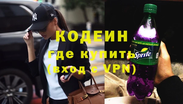 индика Сосновый Бор