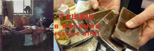 индика Сосновый Бор